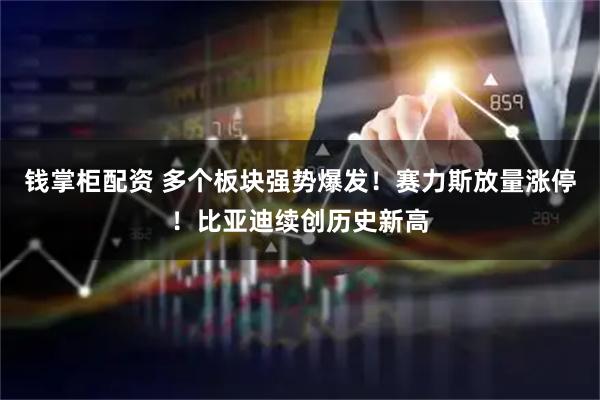 钱掌柜配资 多个板块强势爆发！赛力斯放量涨停！比亚迪续创历史新高