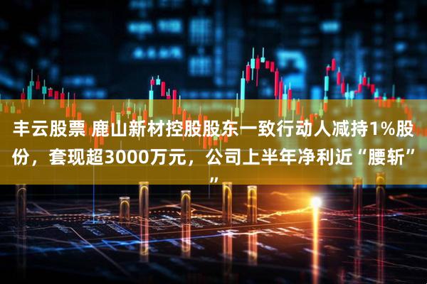 丰云股票 鹿山新材控股股东一致行动人减持1%股份，套现超3000万元，公司上半年净利近“腰斩”