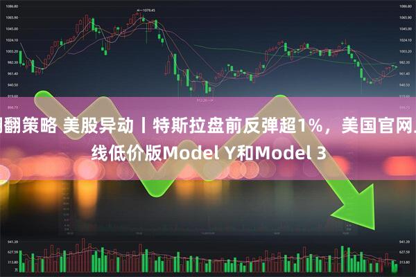 翻翻策略 美股异动丨特斯拉盘前反弹超1%，美国官网上线低价版Model Y和Model 3