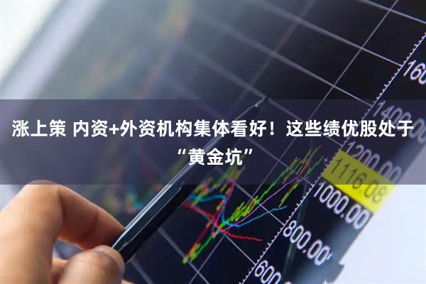 涨上策 内资+外资机构集体看好！这些绩优股处于“黄金坑”
