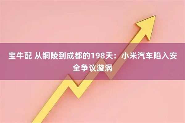 宝牛配 从铜陵到成都的198天：小米汽车陷入安全争议漩涡